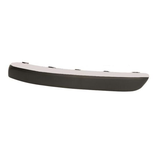 5513-00-5537921P - Trim/Protective Strip, bumper 