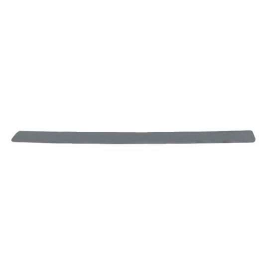 5513-00-0040928P - Trim/Protective Strip, bumper 