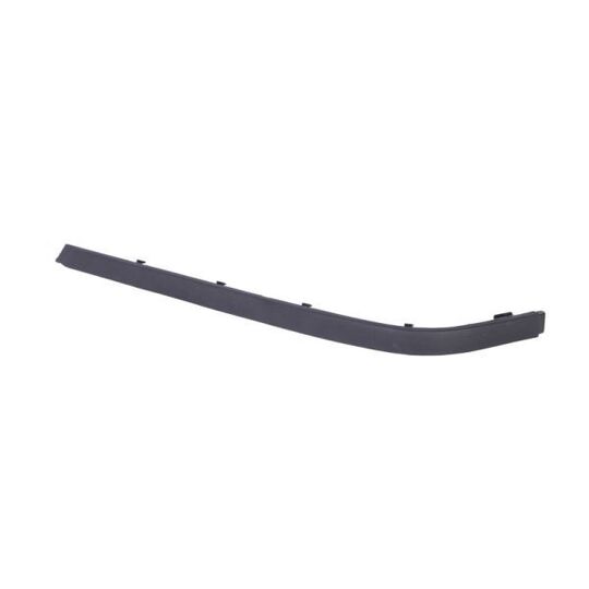 5703-05-0065974P - Trim/Protective Strip, bumper 