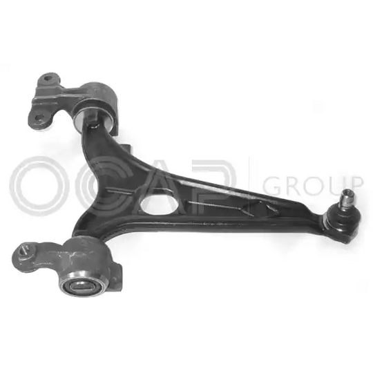 0393817 - Track Control Arm 