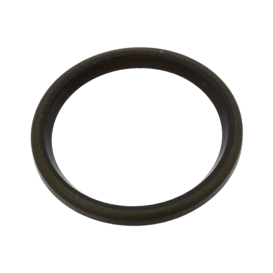 06324 - Seal Ring, stub axle 