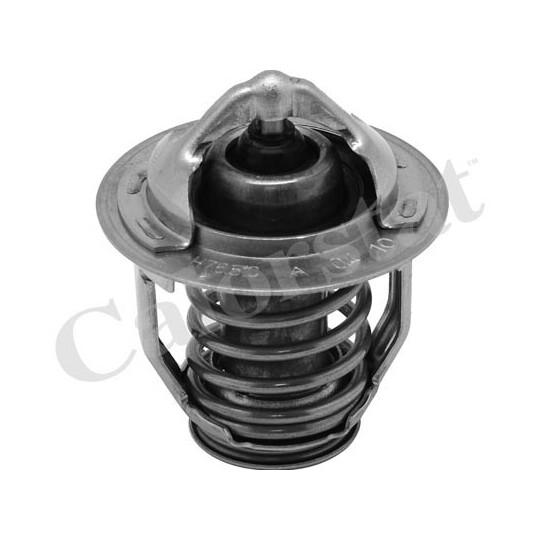 TH7083.76 - Thermostat, coolant 