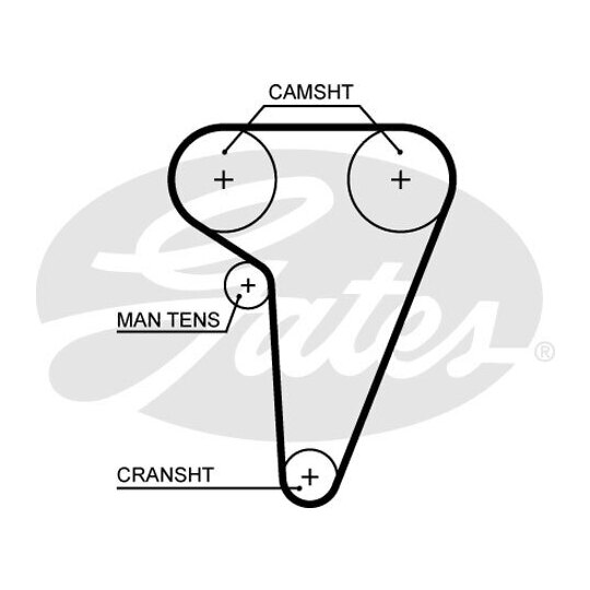 5549XS - Timing Belt 