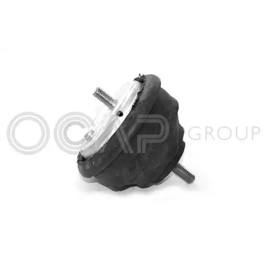 1225097 - Engine Mounting 