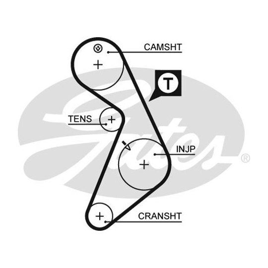 5395 - Timing Belt 