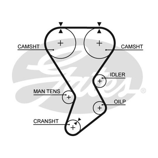 5385XS - Timing Belt 