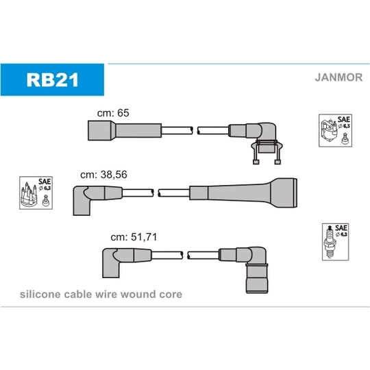 RB21 - Ignition Cable Kit 
