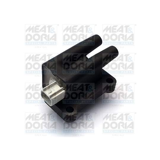 10672 - Ignition coil 