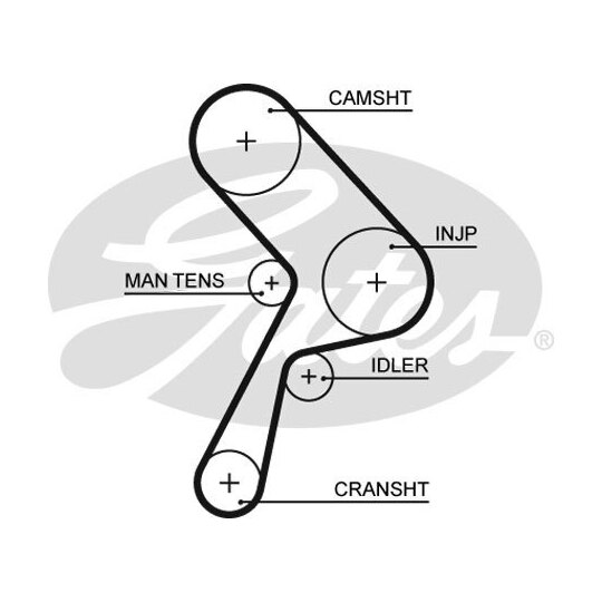 5322 - Timing Belt 