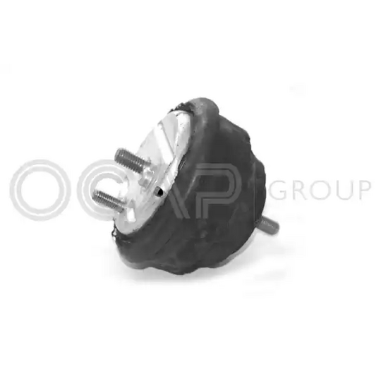 1225772 - Engine Mounting 