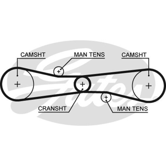 T275 - Timing Belt 