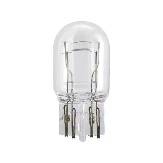 12066CP - Bulb 