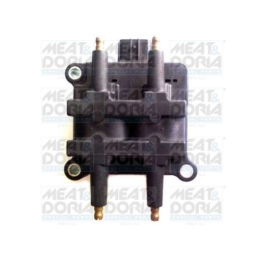 10653 - Ignition coil 