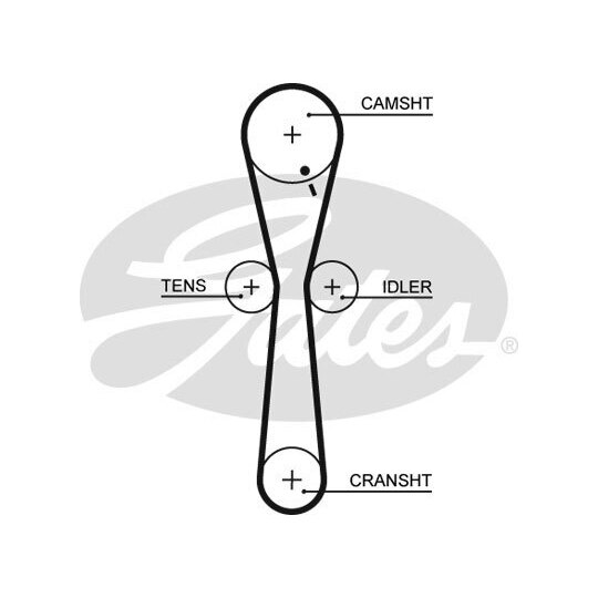 5547XS - Timing Belt 