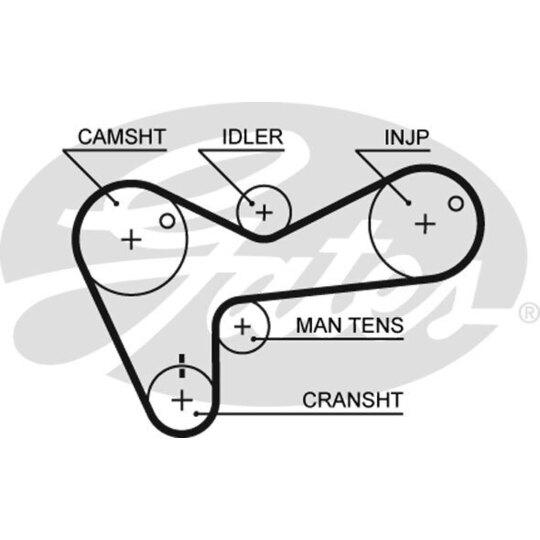 5306 - Timing Belt 