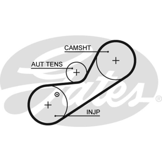 5546XS - Timing Belt 