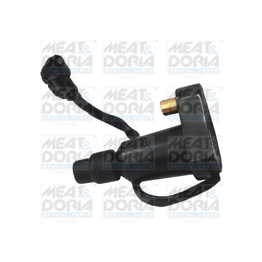 10631 - Ignition coil 