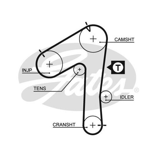 5483XS - Timing Belt 