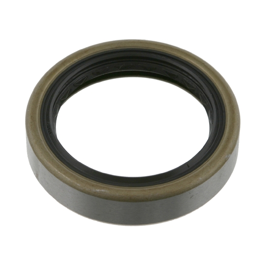 06086 - Shaft Seal, wheel bearing 