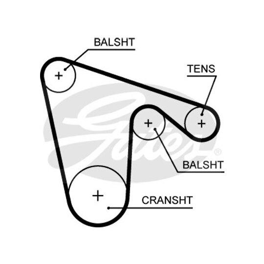 5621XS - Timing Belt 