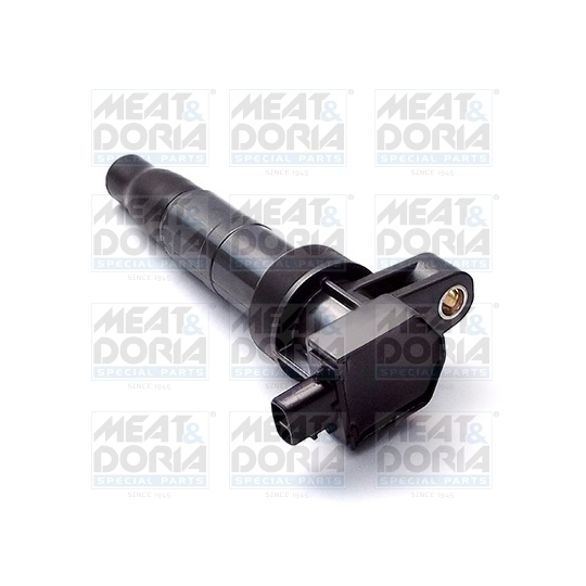 10618 - Ignition coil 