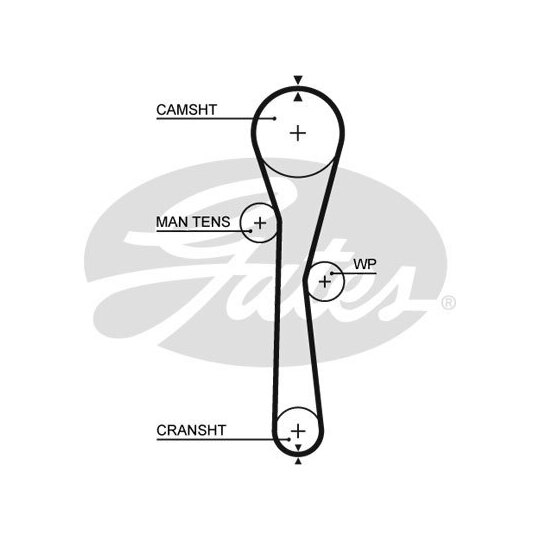 5577XS - Timing Belt 