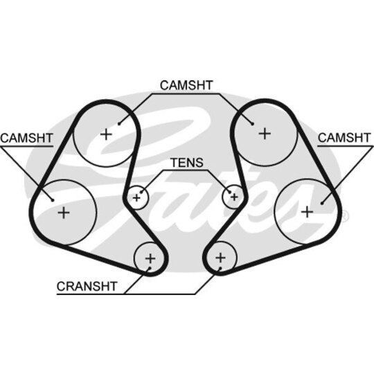 5337 - Timing Belt 