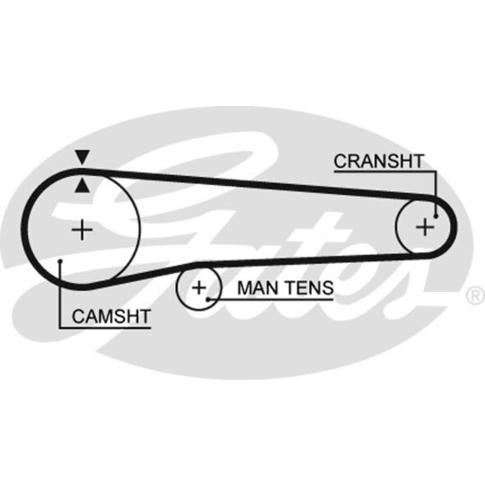 5219 - Timing Belt 