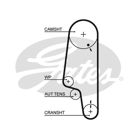 5428XS - Timing Belt 