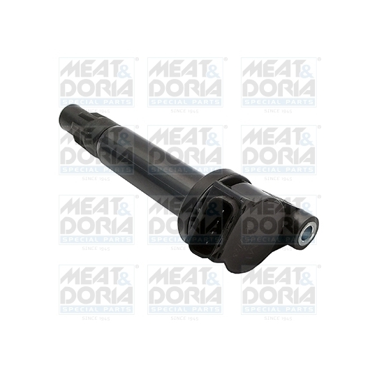 10669 - Ignition coil 