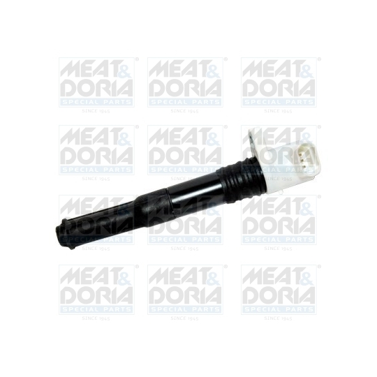 10613 - Ignition coil 