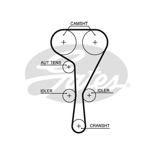 5551XS - Timing Belt 