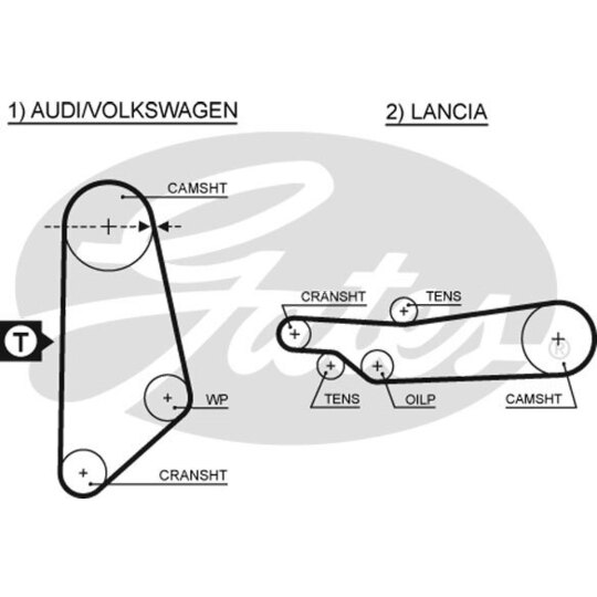 5031 - Timing Belt 