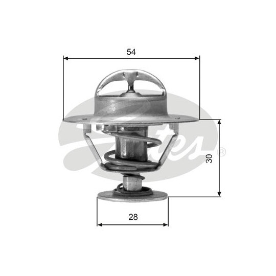 TH02491G1 - Thermostat, coolant 