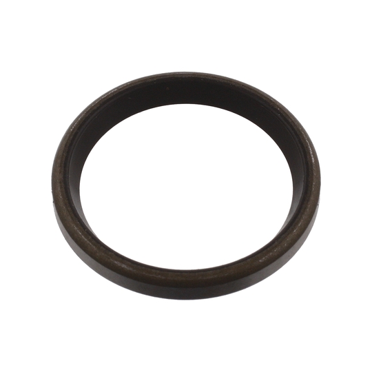 01060 - Seal Ring, stub axle 