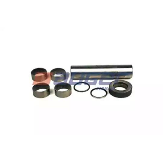 52559 - Repair Kit, kingpin 