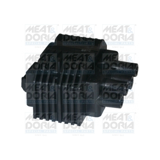 10316 - Ignition coil 