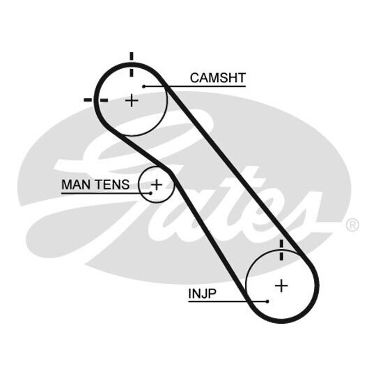 5548XS - Timing Belt 