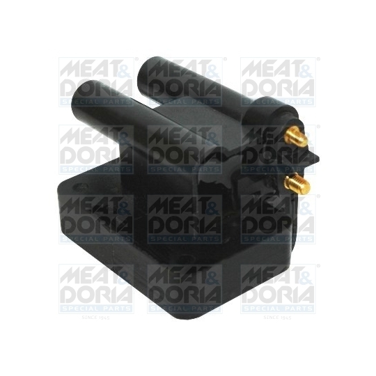 10686 - Ignition coil 
