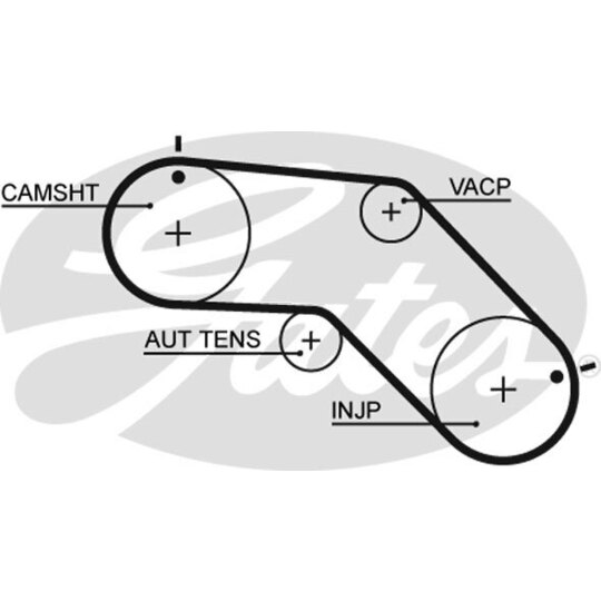 5504XS - Timing Belt 