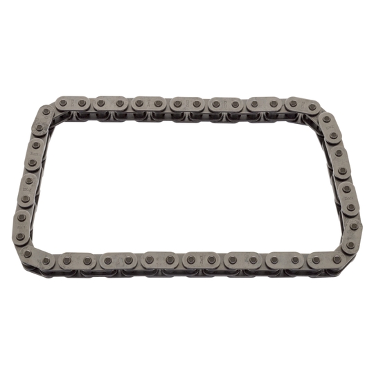 25396 - Timing Chain 