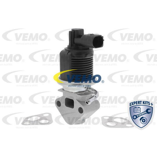 V10-63-0003 - EGR Valve 