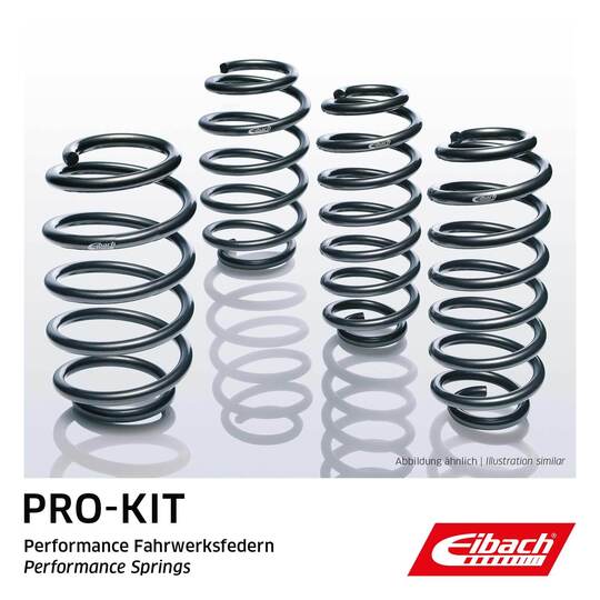 E10-56-001-02-22 - Suspension Kit, coil springs 