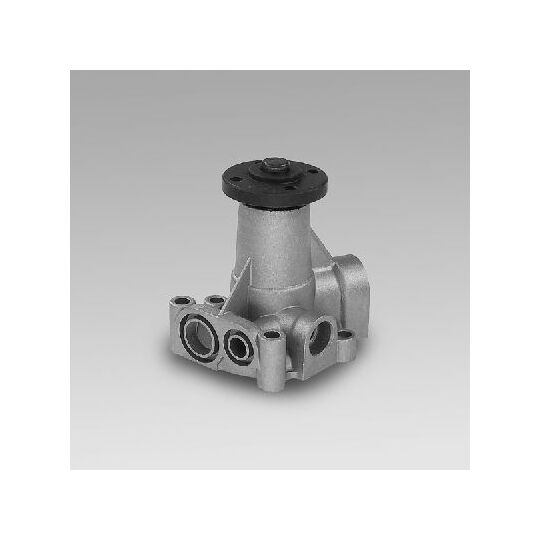 P055 - Water pump 