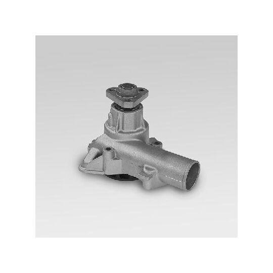 P077 - Water pump 