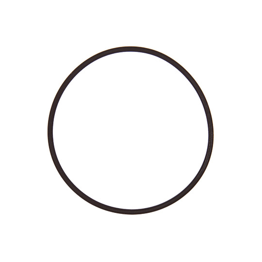 A2C59516947 - Gasket / Seal 