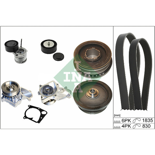 529 0020 30 - Water Pump + V-Ribbed Belt Set 