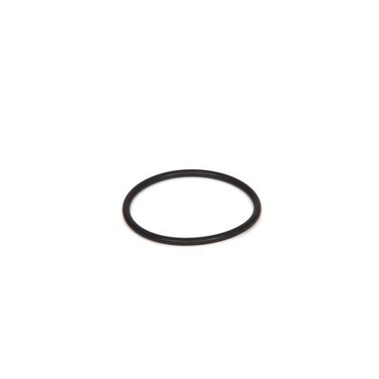 2 700 210 031 - Rubber Ring 