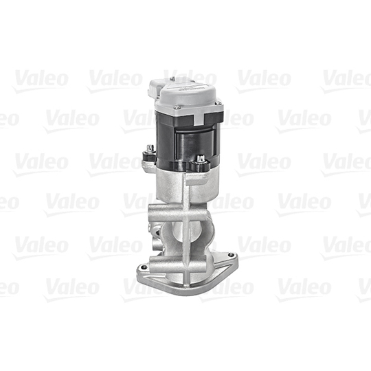 700422 - EGR Valve 