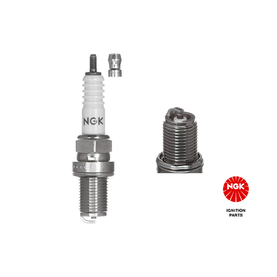 3312 - Spark Plug 